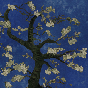 亚洲精品自在线拍
